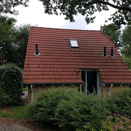 Hotel Vakantiepark Timmerholt Westerbork Exteriér fotografie